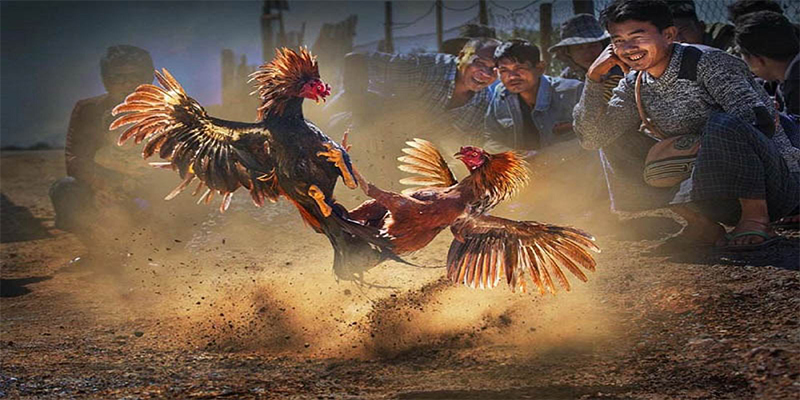 tha bet xổ số bữa nay