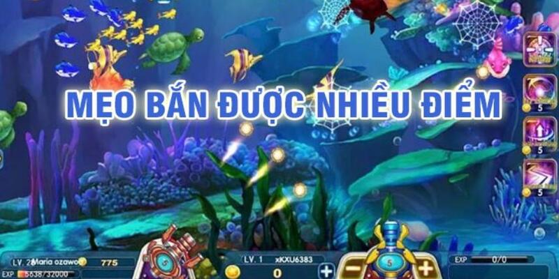 tha bet trò chơi nổ hũ 2 mặt là gì