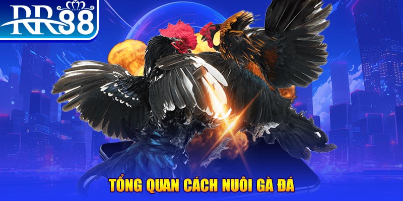 tha bet game nổ hũ rút tiền mặt là gì