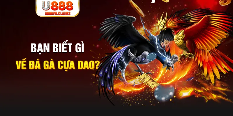 tha bet SW Xổ Số