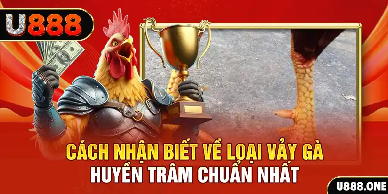 tha bet đăng nhập nổ hũ số 1