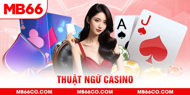 tha bet gà chọi c1 mới nhất