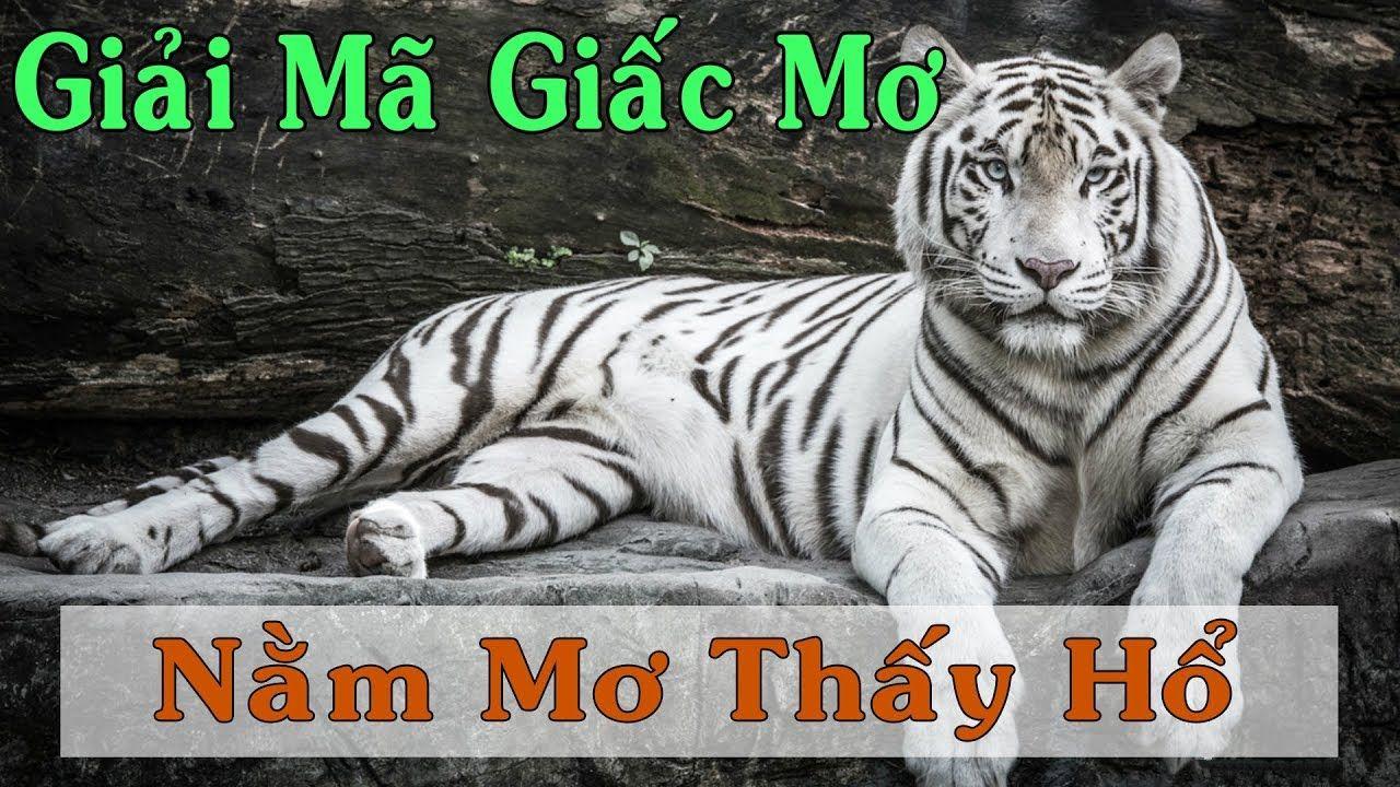tha bet nổ hũ là game gì