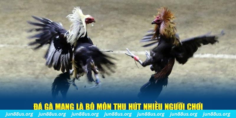 tha bet nổ hủ nghĩa là gì