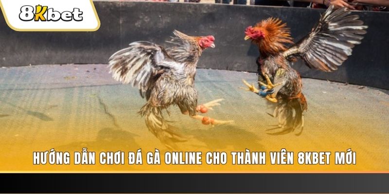 tha bet JILI Game Bài 3d