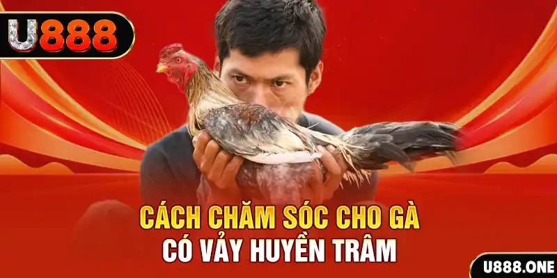 tha bet bắn cá xèng 3
