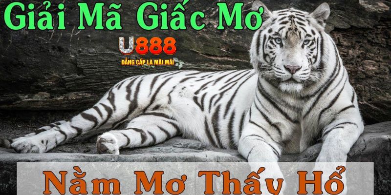 tha bet xổ số miền bắc xổ số miền bắc