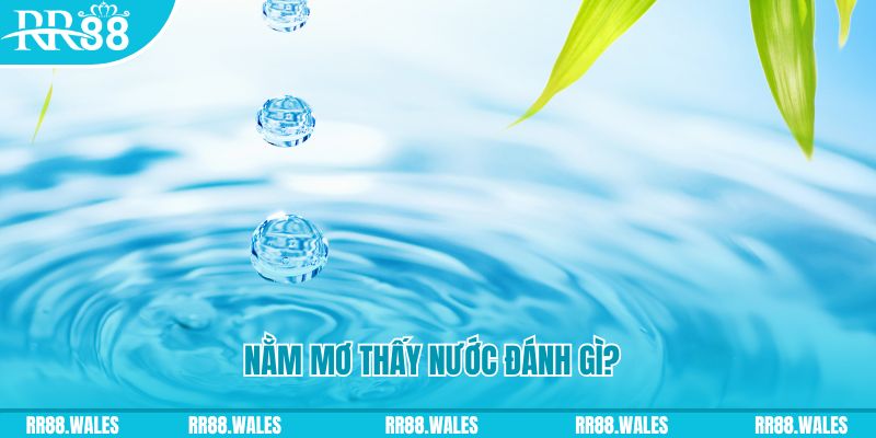 tha bet TCG Xổ Số