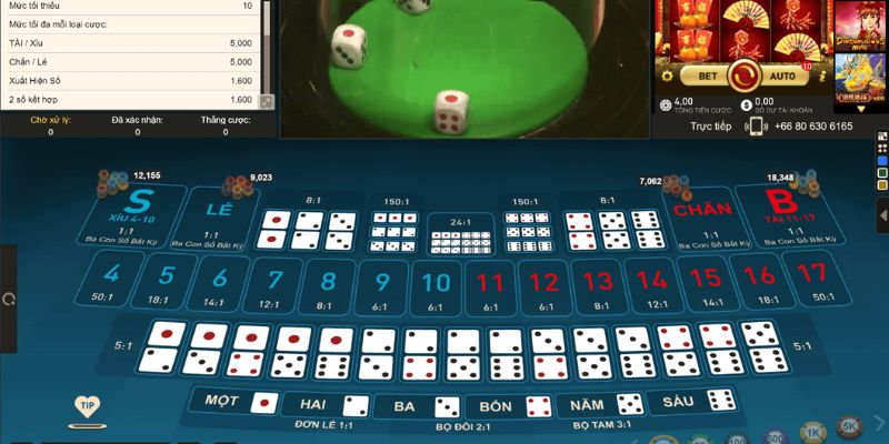 tha bet xổ số miền bắc hàng tuần