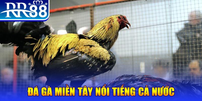 tha bet xổ số đại phát
