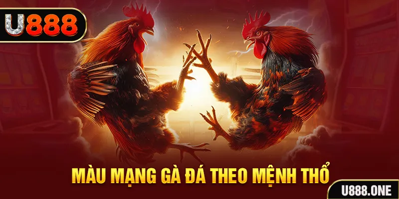 tha bet đăng nhập sòng bạc hàng đầu