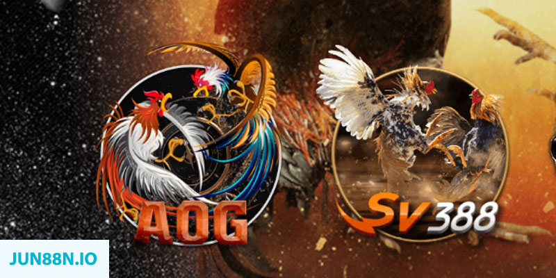 tha bet “natural” trong baccarat nghĩa là gì？