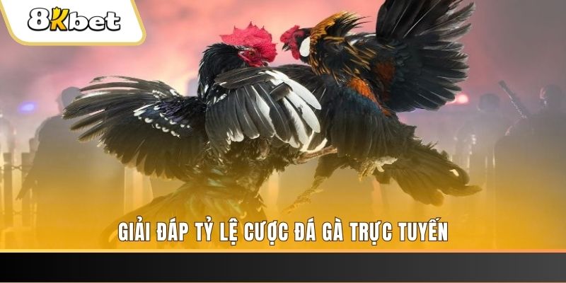 tha bet ga choi cau thanh
