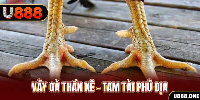 tha bet xổ số miền trung thứ hai hàng tuần