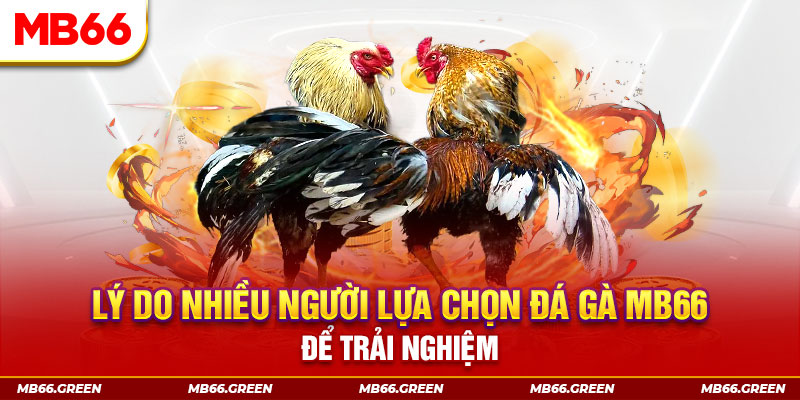 tha bet đăng nhập liêng trực tiếp