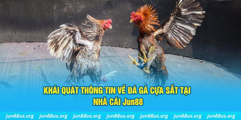 tha bet xổ số miền bắc thứ bảy hàng tuần