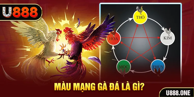 tha bet xổ số miền trung thứ tư hàng tuần