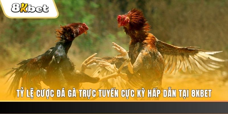 tha bet đăng nhập nổ hũ trực tuyến