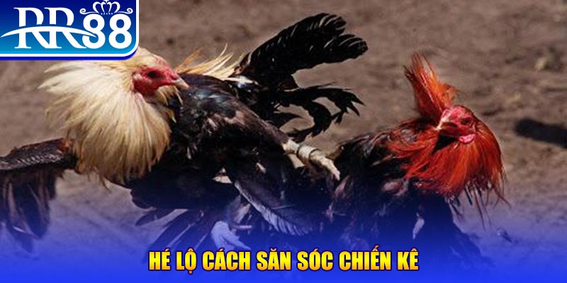 tha bet xổ số miền trung thứ tư
