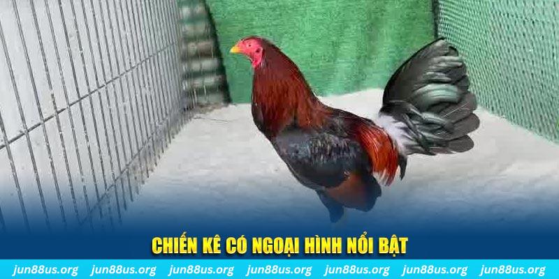 tha bet game bắn cá