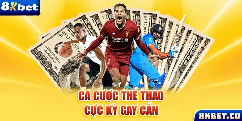 tha bet xem đá gà trực tiếp
